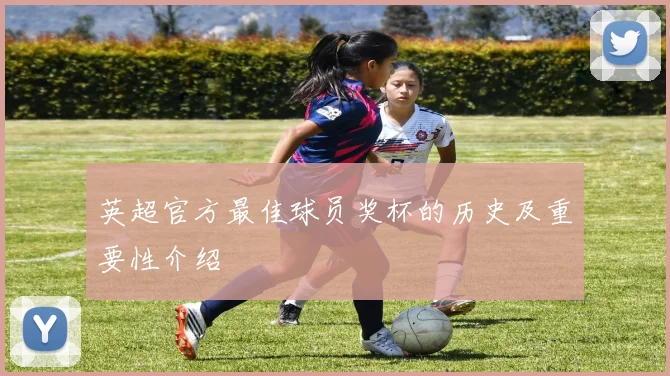 英超官方最佳球员奖杯的历史及重要性介绍